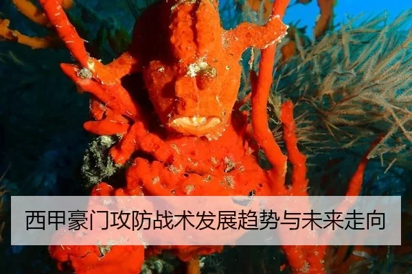 xi-jia-hao-men-gong-fang-zhan-shu-fa-zhan-qu-shi-yu-wei-lai-zou-xiang-2-444.jpg